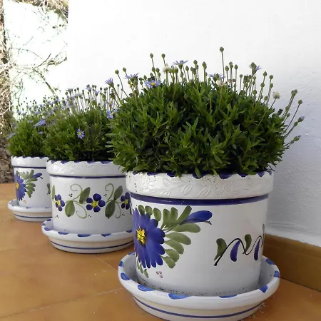Casa Flamenca *